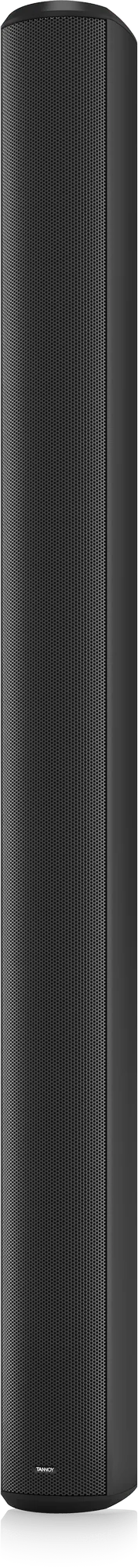 TANNOY VLS 30 ลำโพง Passive column speakers ลำโพง รูป 10