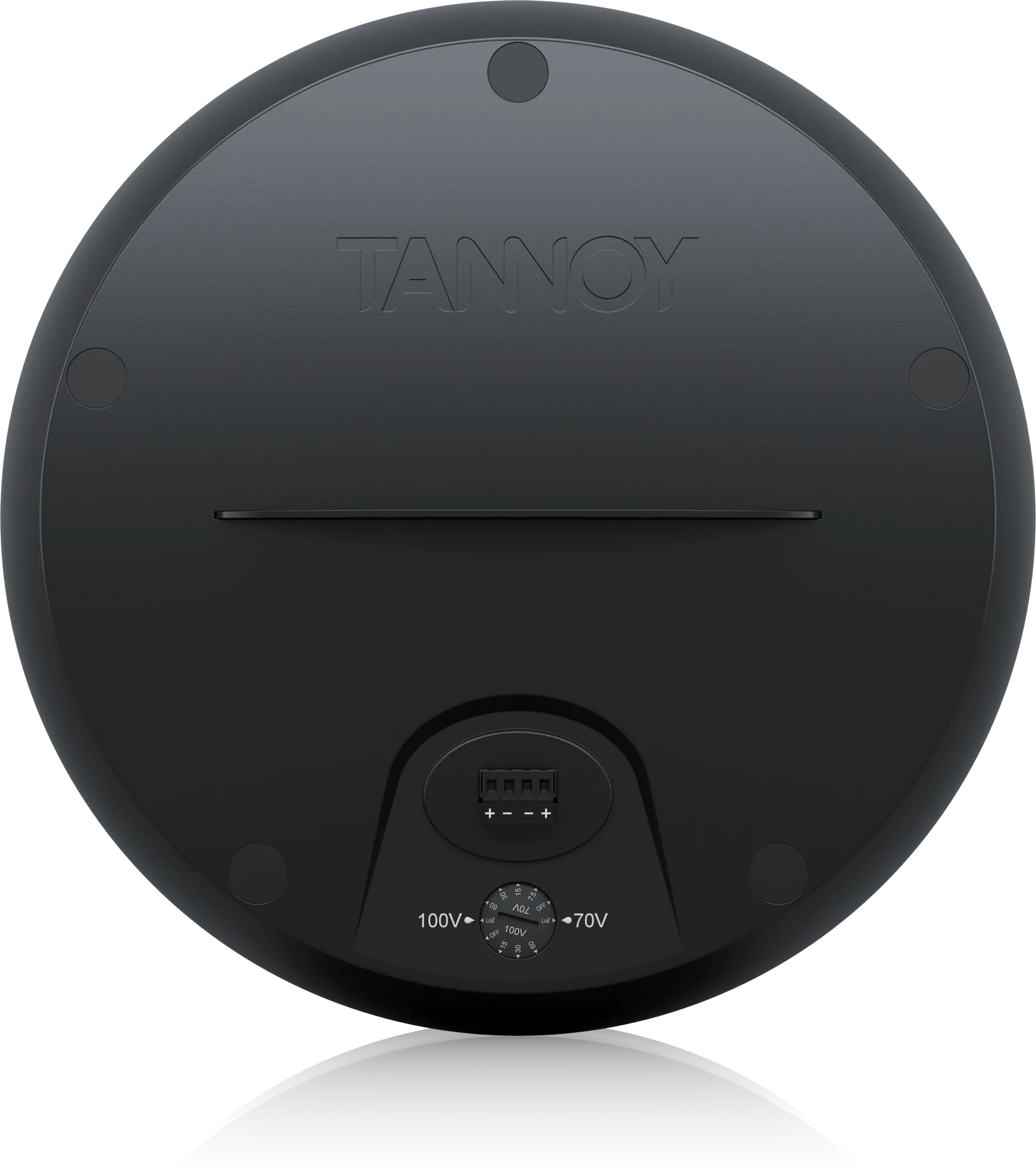 TANNOY OCV 8 ลำโพง Hanging Pendant Loudspeakers ลำโพง รูป 16